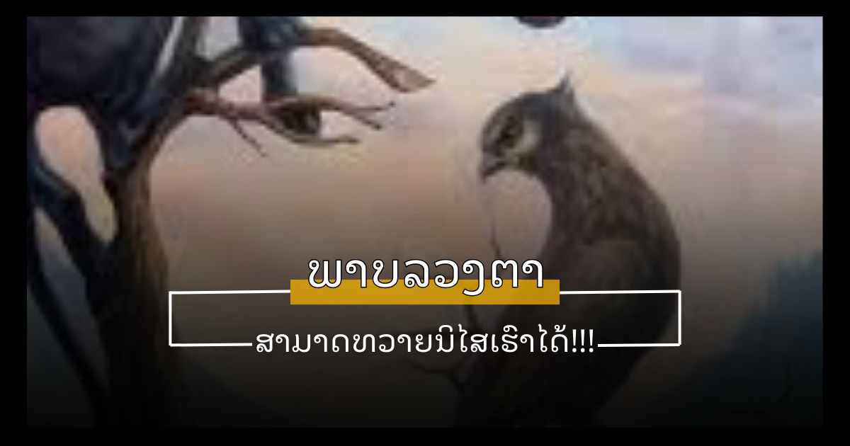 site cover (1)
