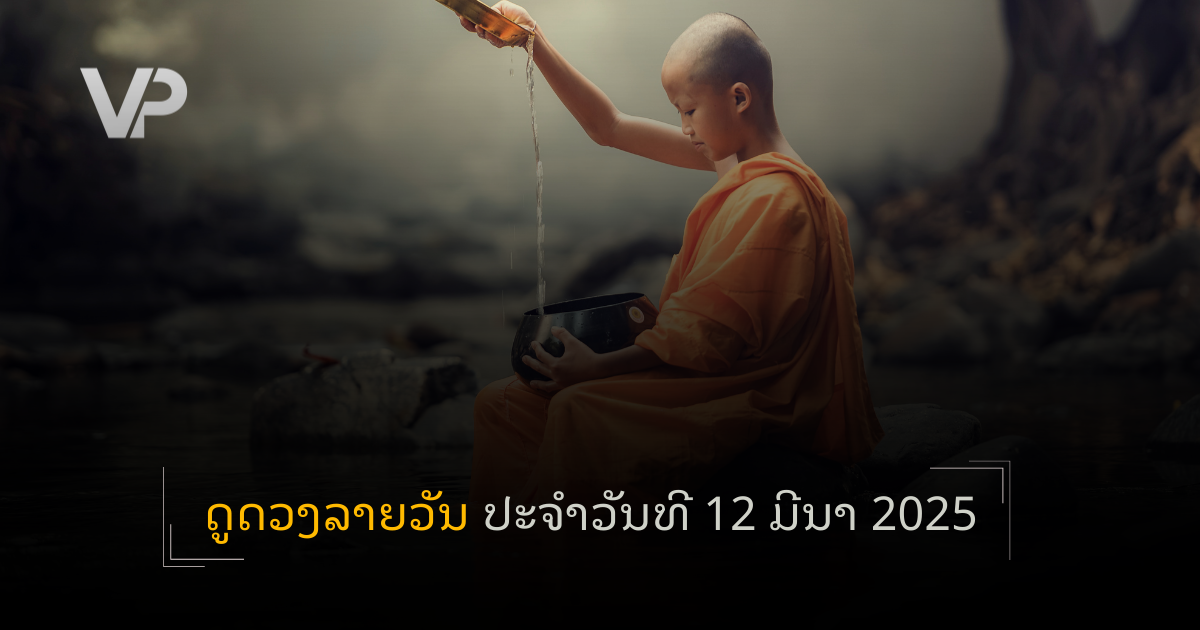 site cover (17)