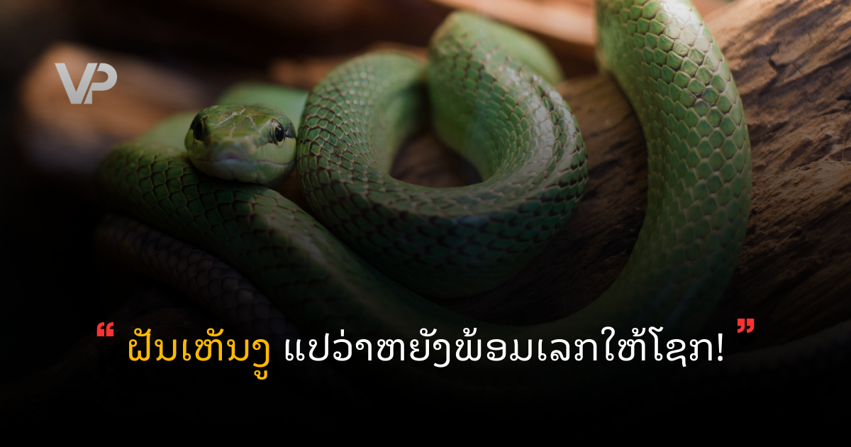 site cover (19)