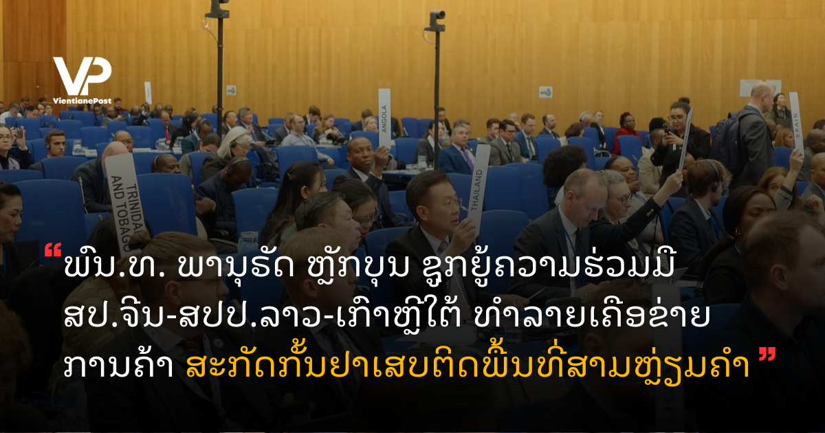 site cover (28)