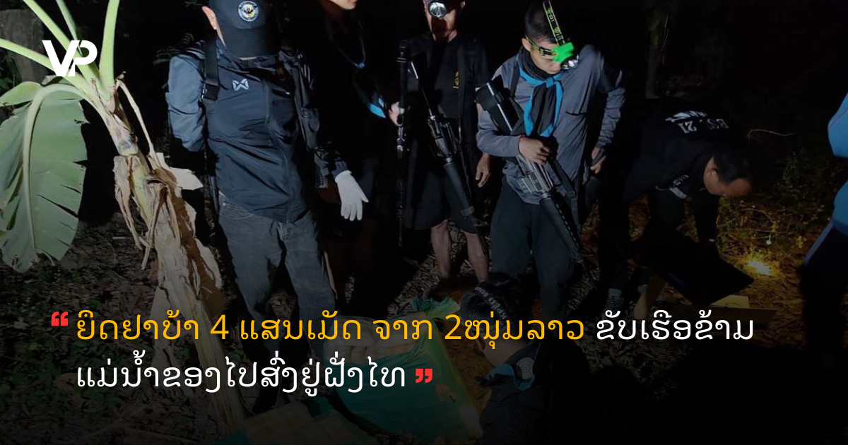 site cover (56)