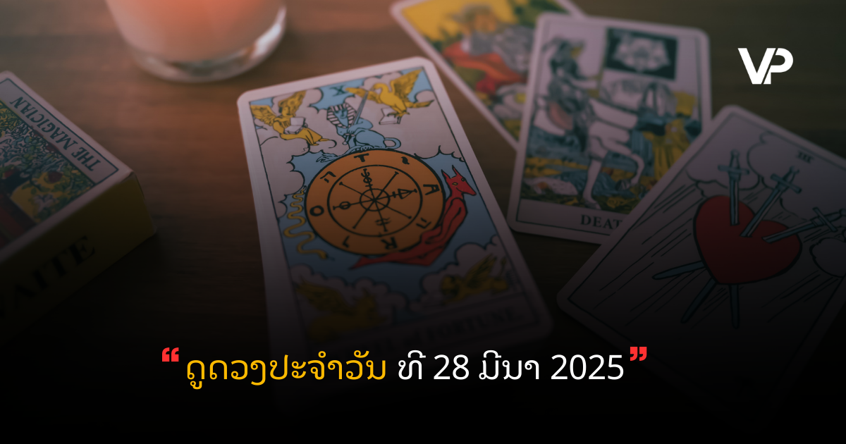 site cover (79)