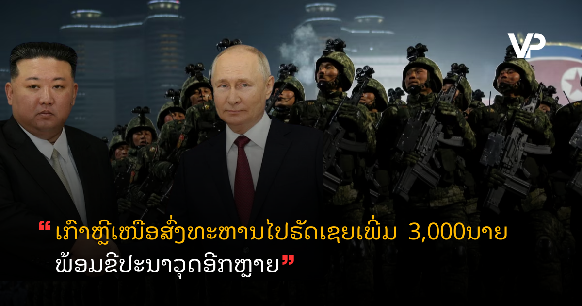 site cover (80)