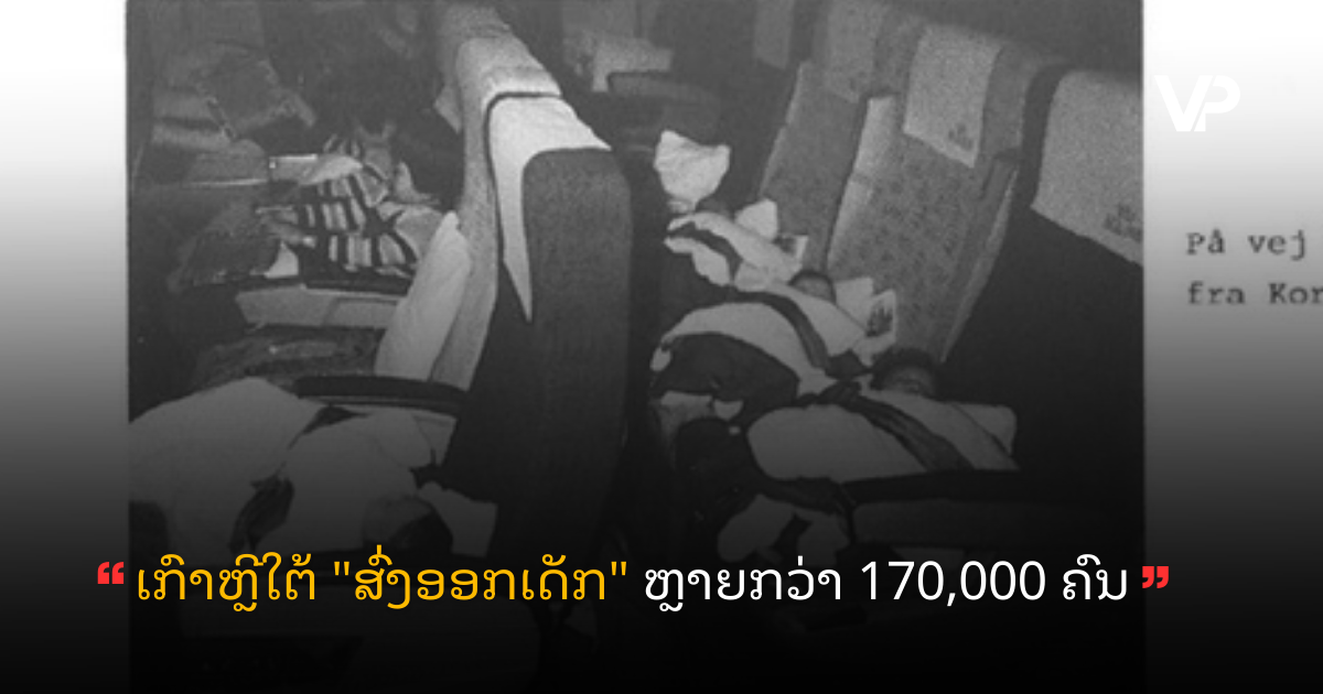 site cover (82)