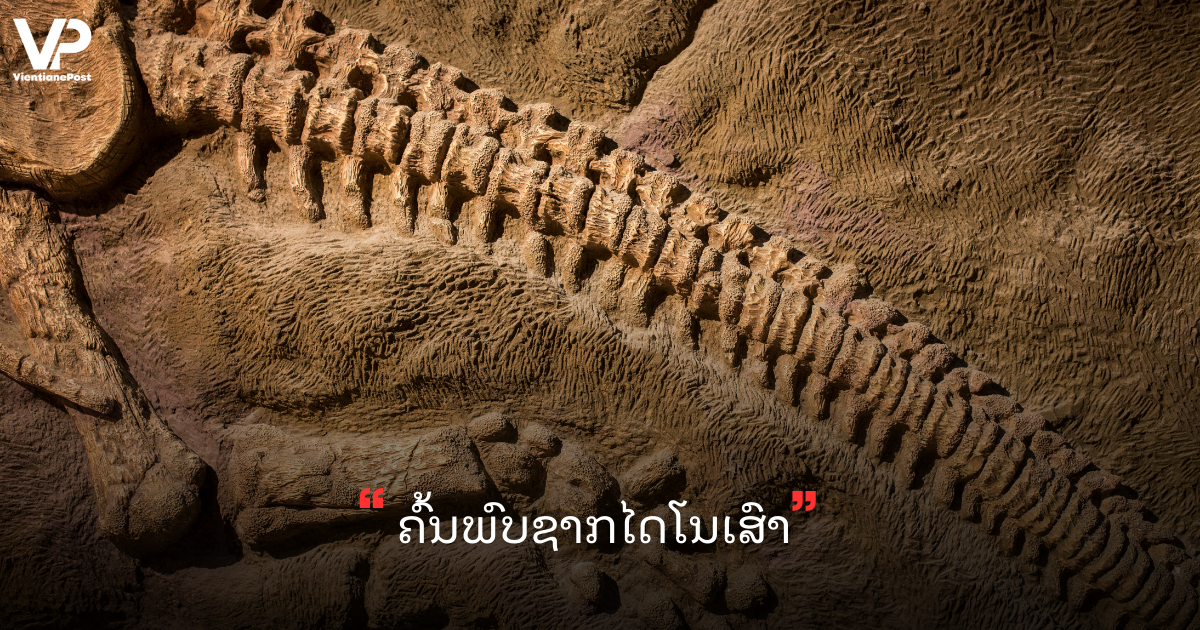 Copy of site cover