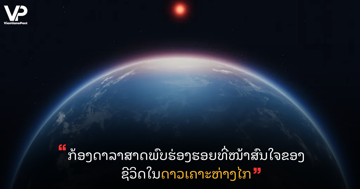 VP LANDSCAPE COVER (20)