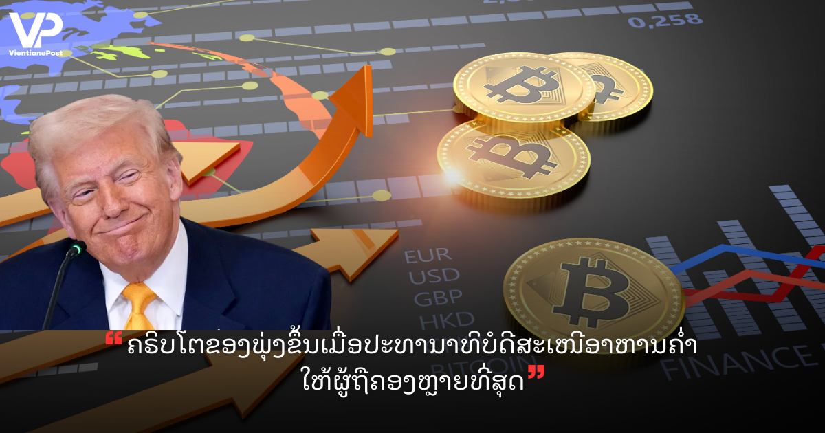 VP LANDSCAPE COVER (55)