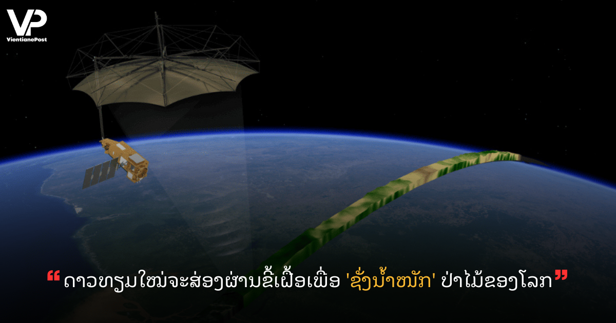 VP LANDSCAPE COVER (80)
