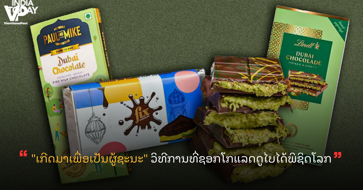 VP LANDSCAPE COVER (95)