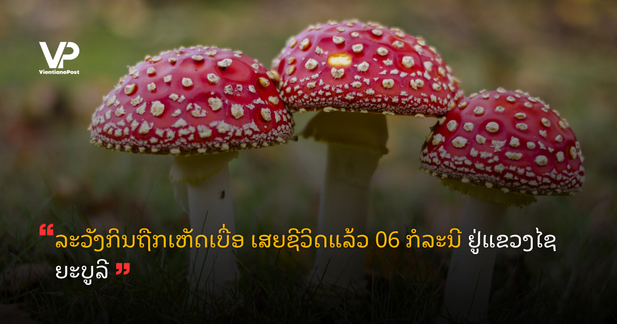 site-cover (89)