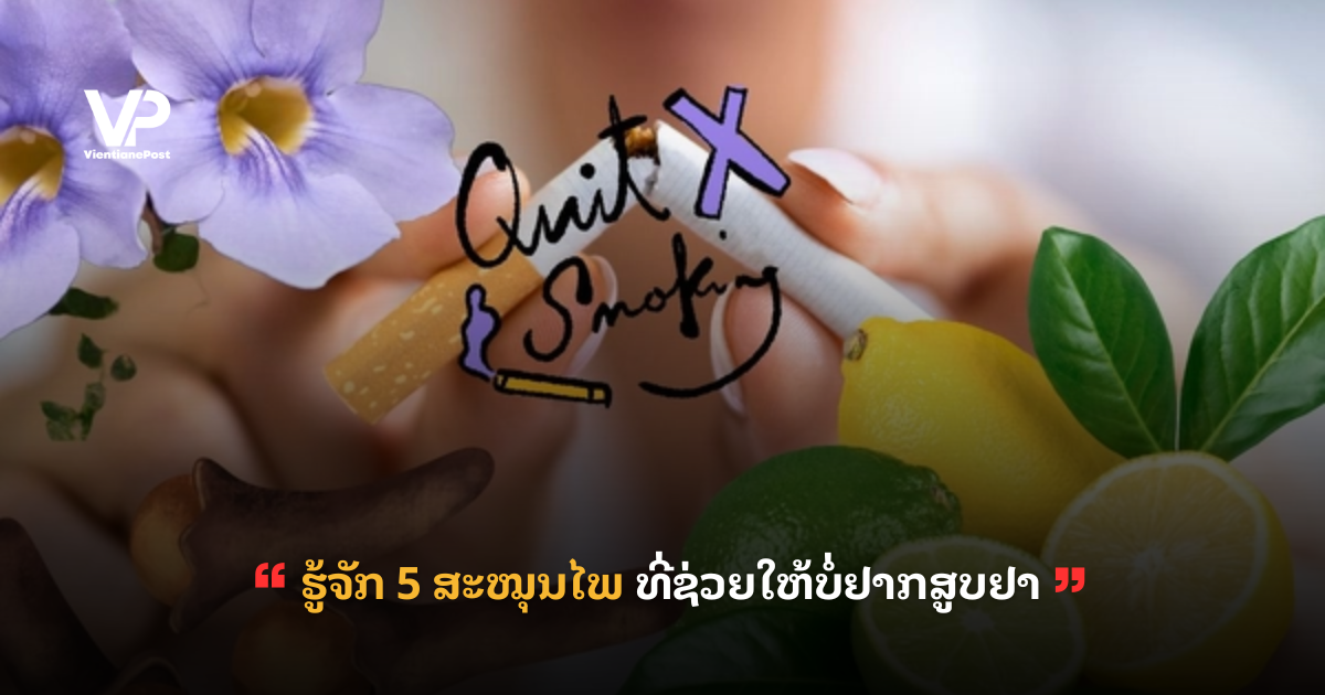 site_cover (84)