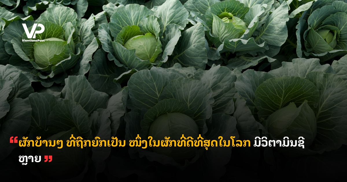 _cover (19)