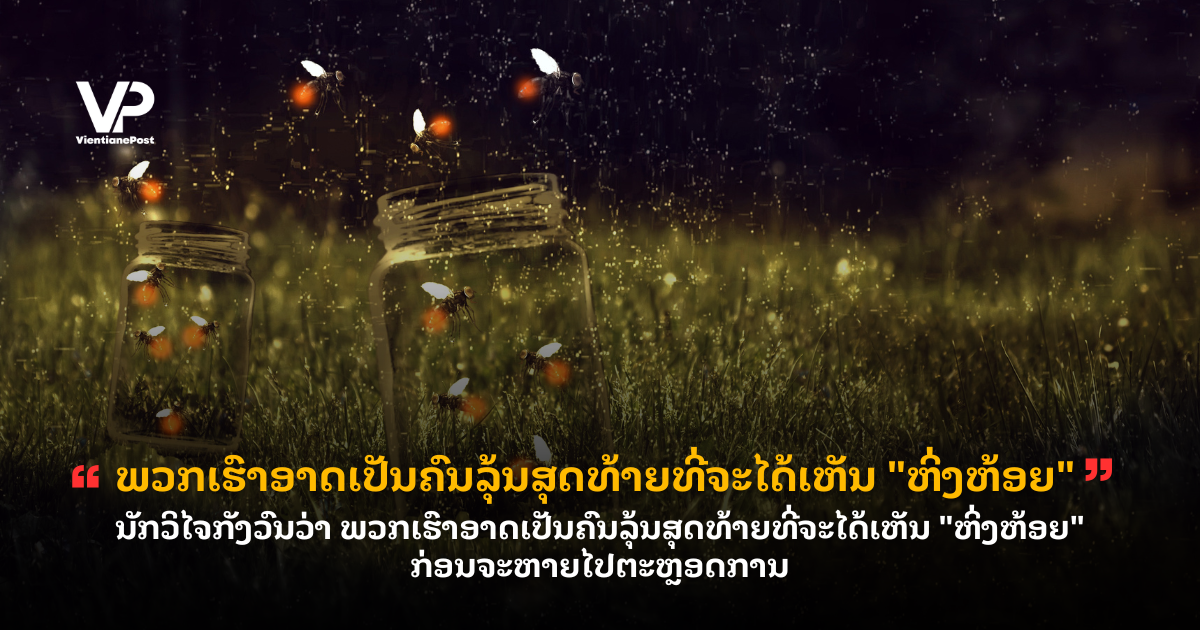 _cover (65)