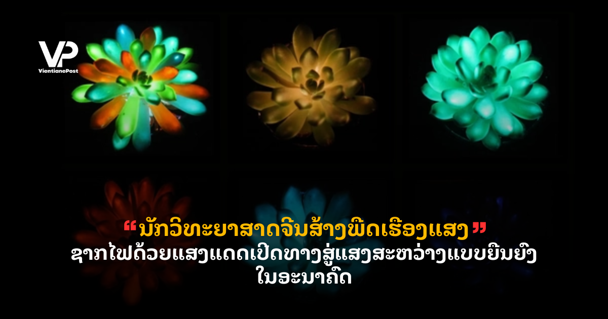 _cover - 2025-08-28T140646.312