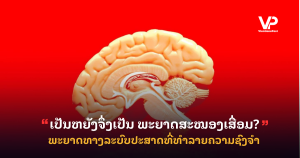 site cover1 (56)