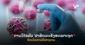 site cover1 (97)