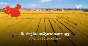 pele - 2025-09-18T100410.135