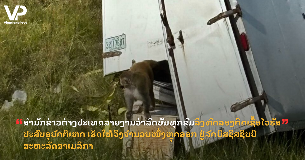 jane - 2025-10-29T114947.909