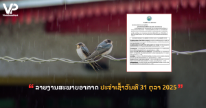 jane - 2025-10-31T092927.470