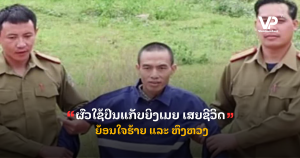 pele - 2025-10-30T112203.287