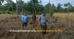 jane - 2025-11-03T144242.859