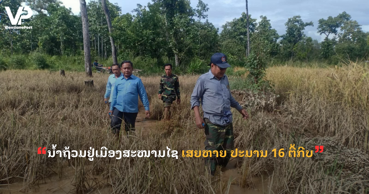 jane - 2025-11-03T144242.859