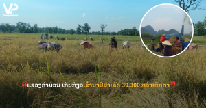 jane - 2025-11-04T160038.701