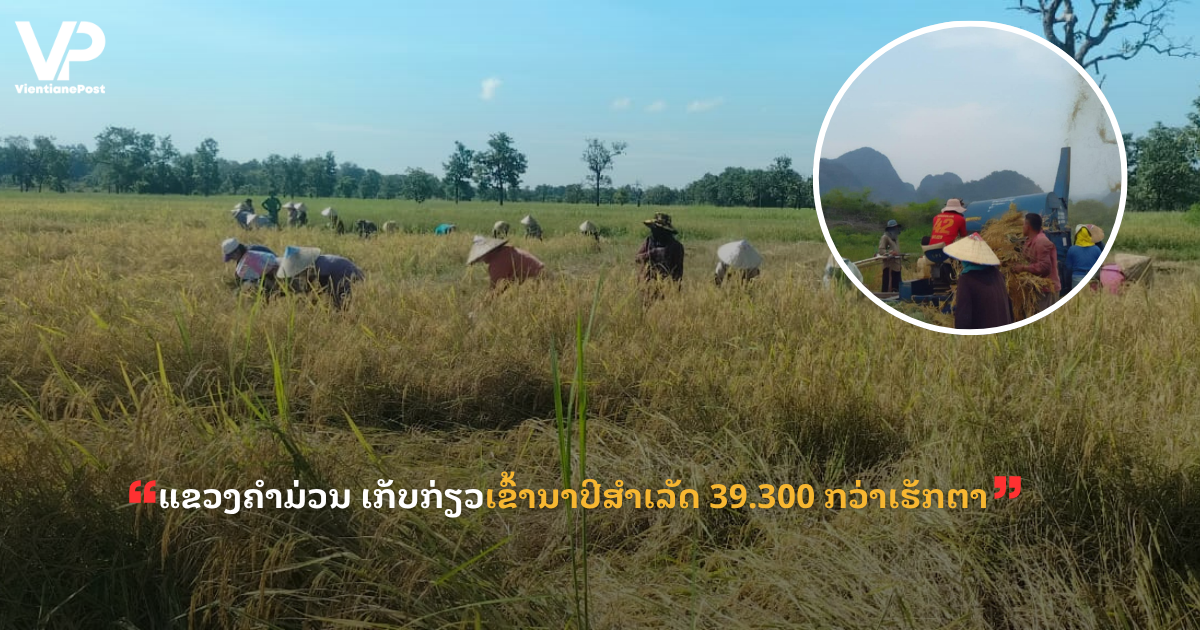 jane - 2025-11-04T160038.701