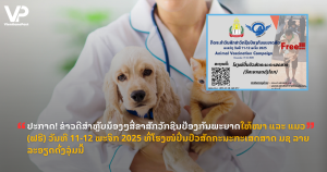 jane - 2025-11-06T113458.364