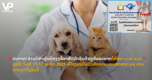 jane - 2025-11-06T113735.879