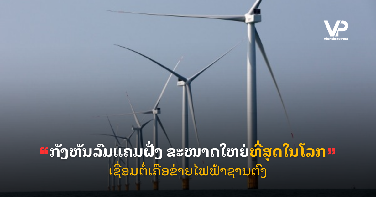 pele - 2025-11-05T092911.288