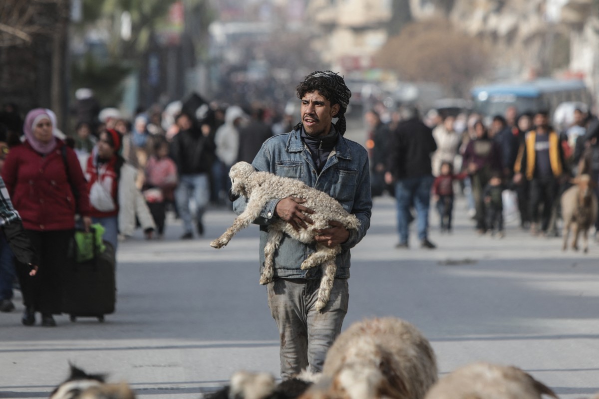 8d40ae5be5979cfe7adcd24fd50a0286