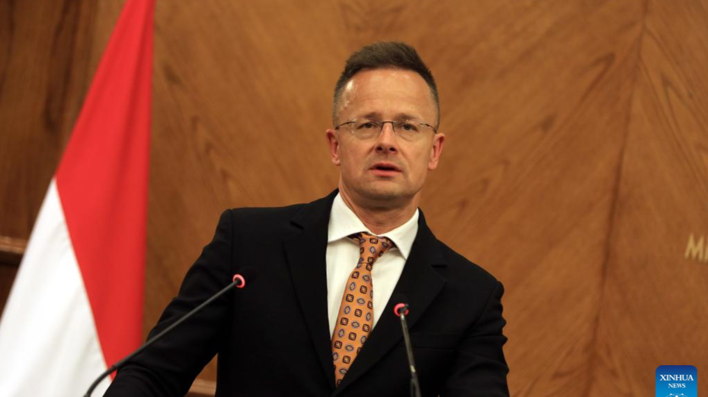 3da6119cbcf5140f6cadea100a30e099-1